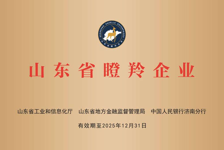 Honored as a "Gazelle Enterprise" in Shandong Province. 